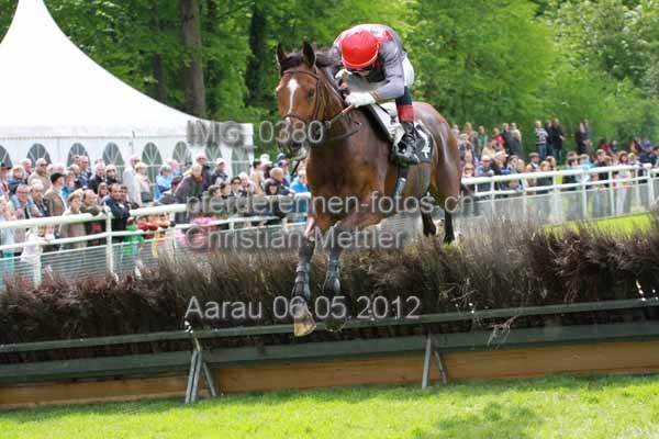 IMG 0380 prot
