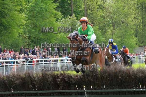 IMG 0384 prot