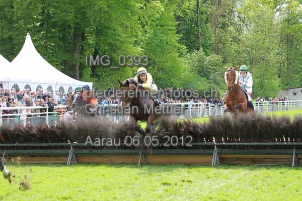 IMG 0393 prot