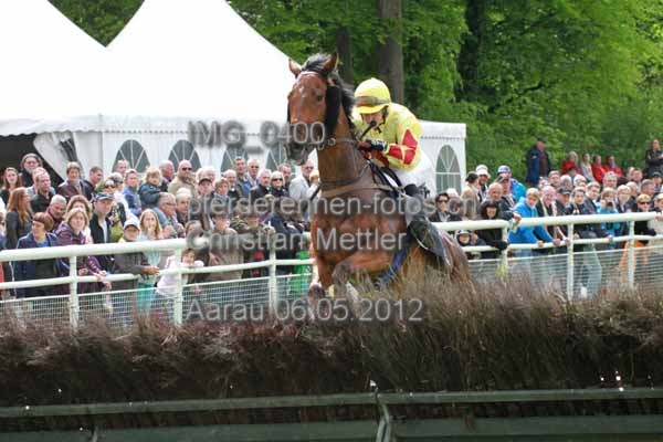 IMG 0400 prot