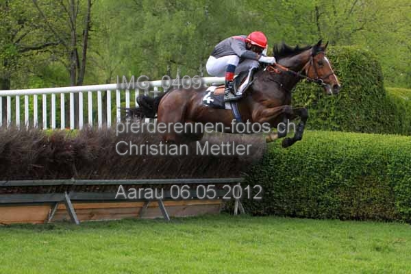 IMG 0409 prot