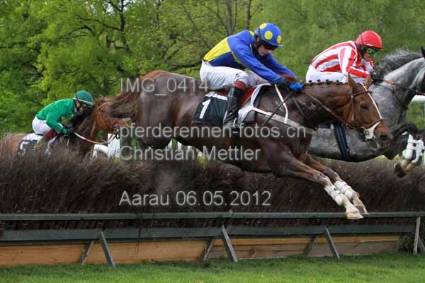 IMG 0414 prot