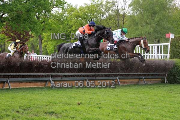 IMG 0418 prot