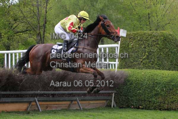 IMG 0424 prot