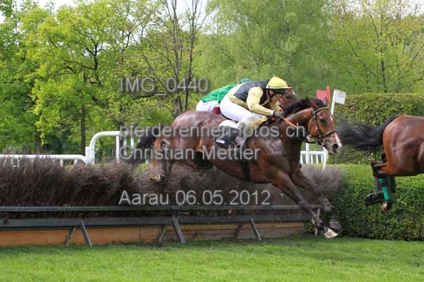IMG 0440 prot
