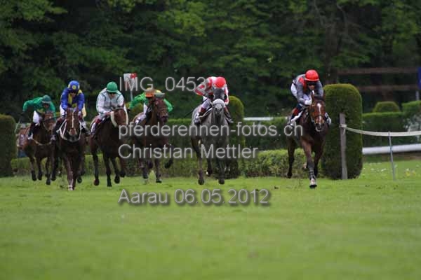 IMG 0453 prot
