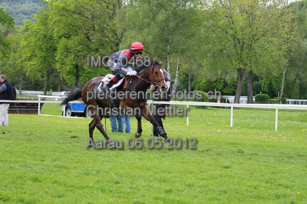 IMG 0468 prot