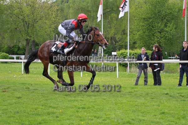 IMG 0470 prot