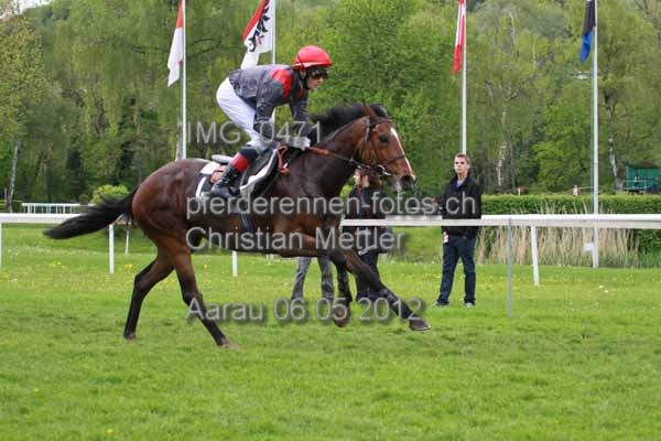 IMG 0471 prot