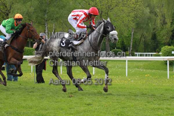 IMG 0476 prot