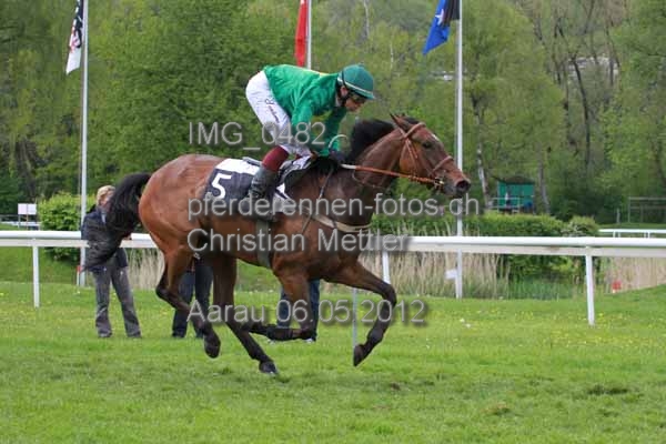 IMG 0482 prot