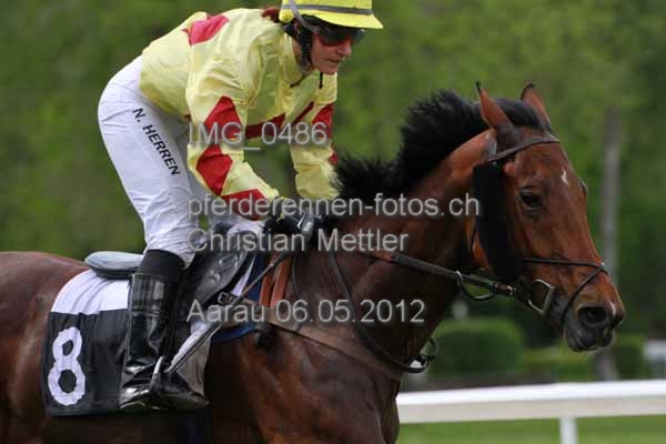IMG 0486 prot