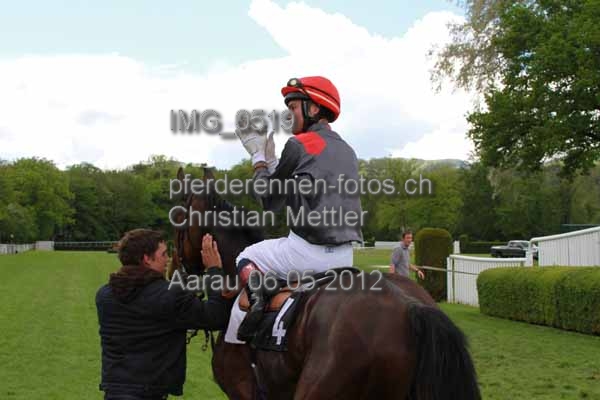 IMG 0519 prot