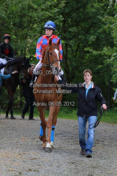 IMG 0543 prot