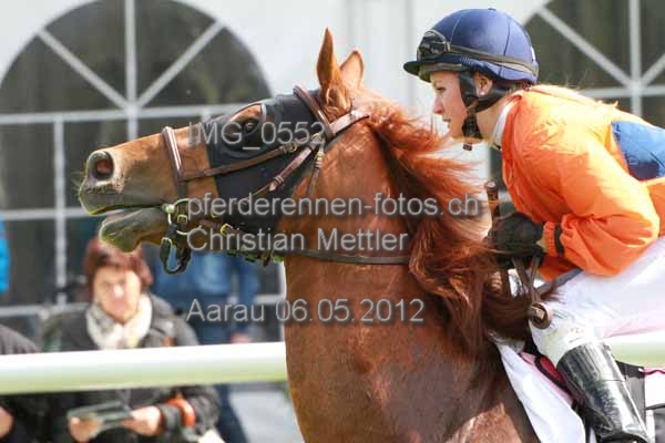 IMG 0552 prot