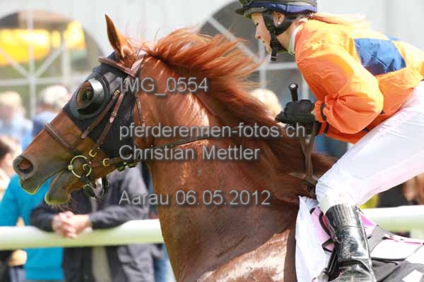 IMG 0554 prot