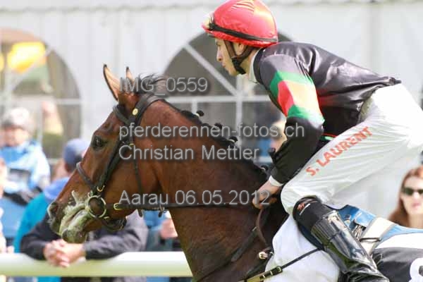 IMG 0559 prot