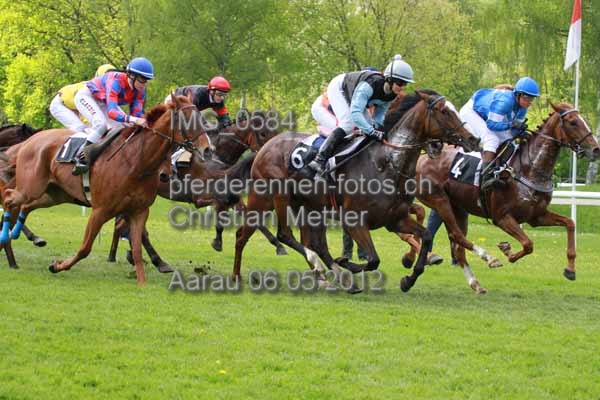IMG 0584 prot