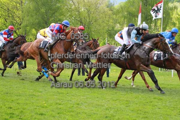 IMG 0585 prot