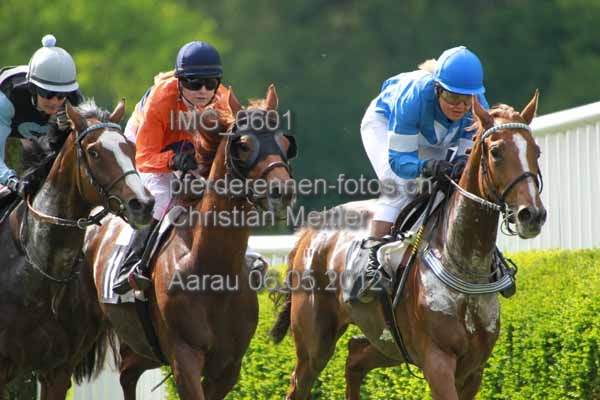 IMG 0601 prot