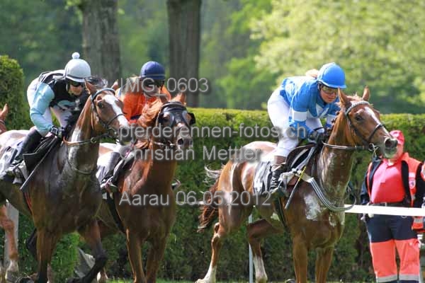 IMG 0603 prot