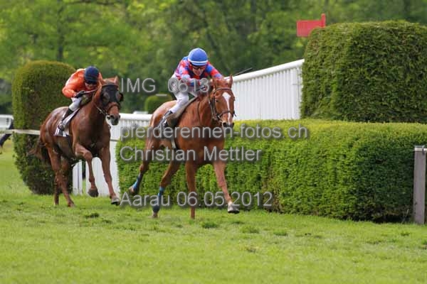 IMG 0613 prot