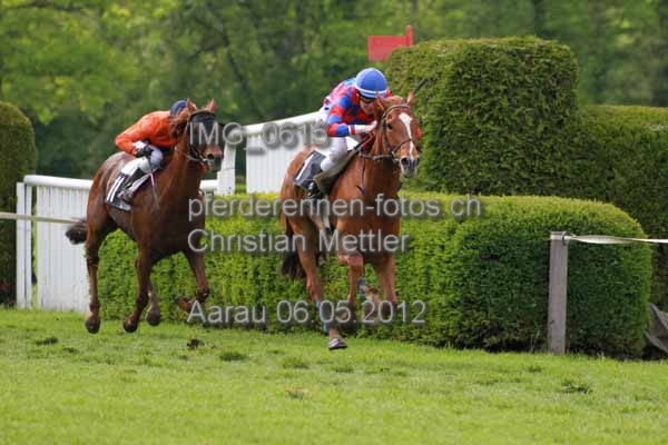 IMG 0615 prot