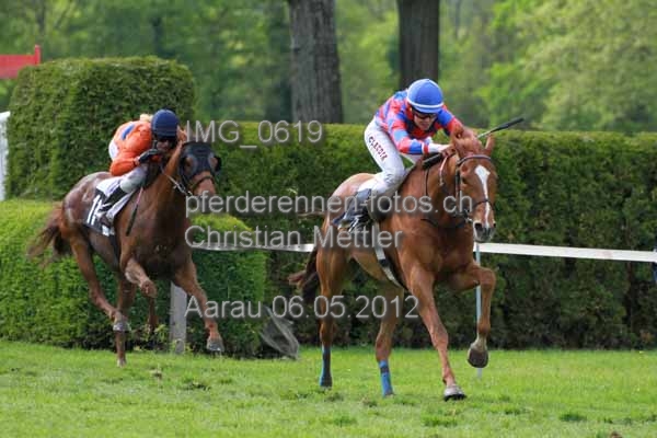 IMG 0619 prot