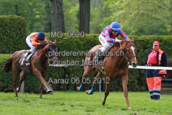 IMG 0620 prot