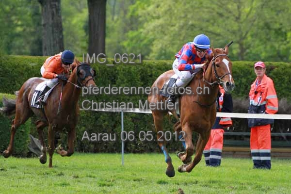 IMG 0621 prot