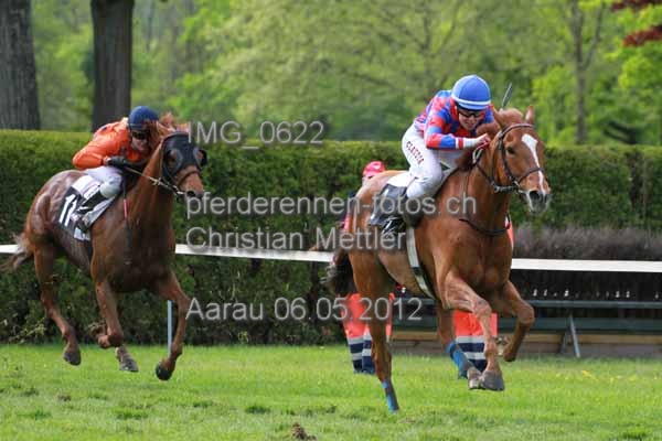 IMG 0622 prot