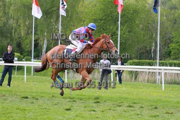 IMG 0630 prot