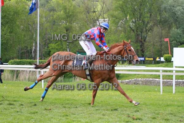 IMG 0632 prot