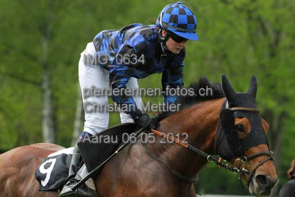 IMG 0634 prot