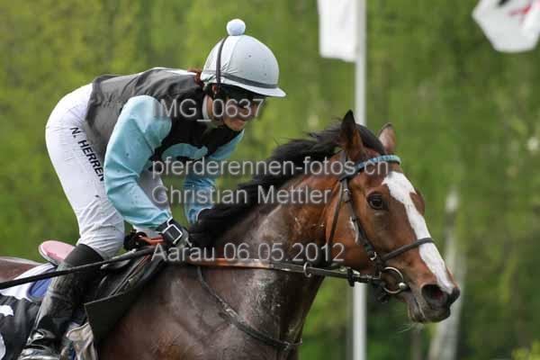 IMG 0637 prot