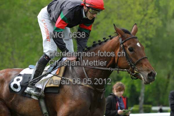 IMG 0638 prot