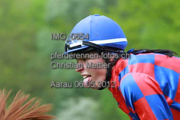 IMG 0654 prot