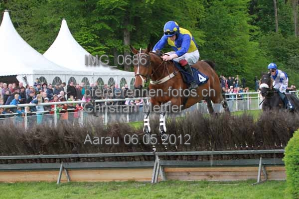 IMG 0686 prot