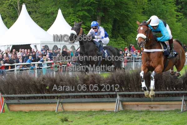 IMG 0689 prot