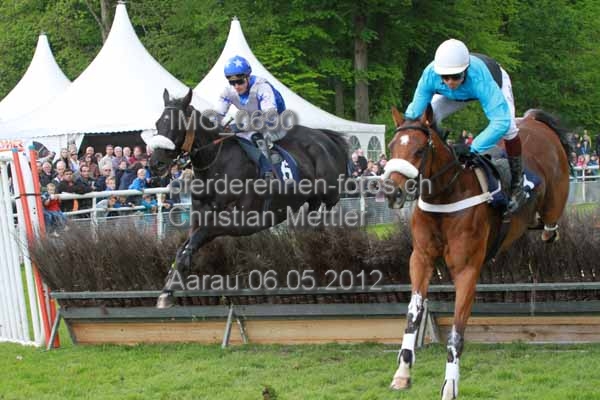 IMG 0690 prot