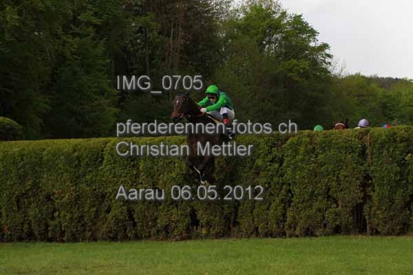 IMG 0705 prot