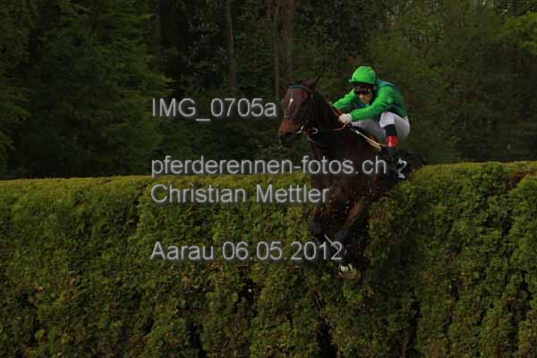 IMG 0705a prot