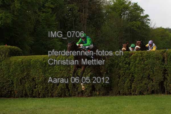 IMG 0706 prot