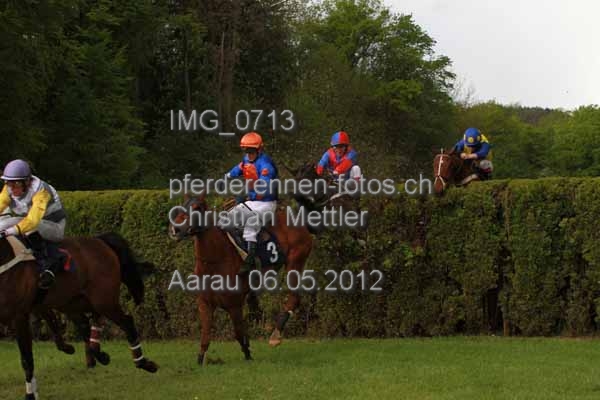 IMG 0713 prot