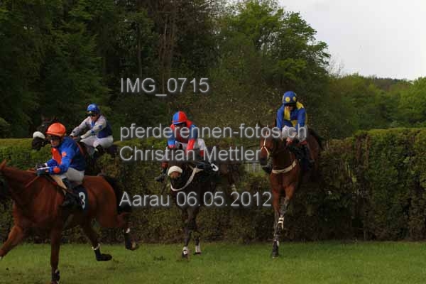 IMG 0715 prot