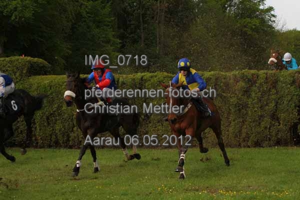 IMG 0718 prot