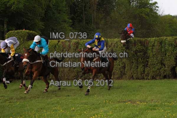 IMG 0738 prot