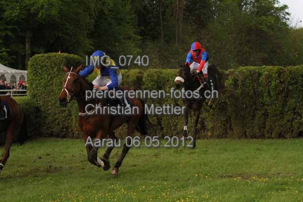 IMG 0740 prot