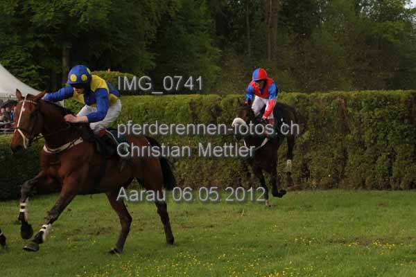 IMG 0741 prot
