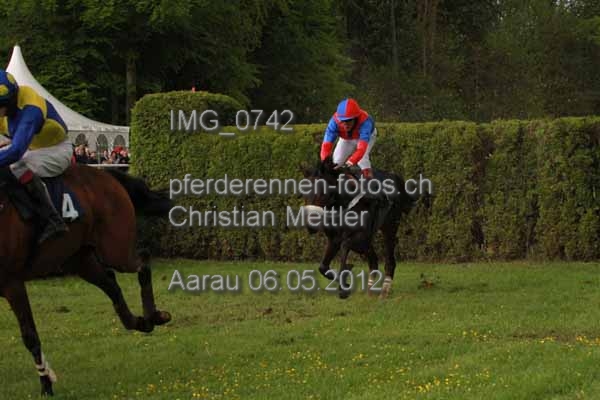 IMG 0742 prot